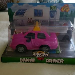 Danni Driver (missing cones and sign)